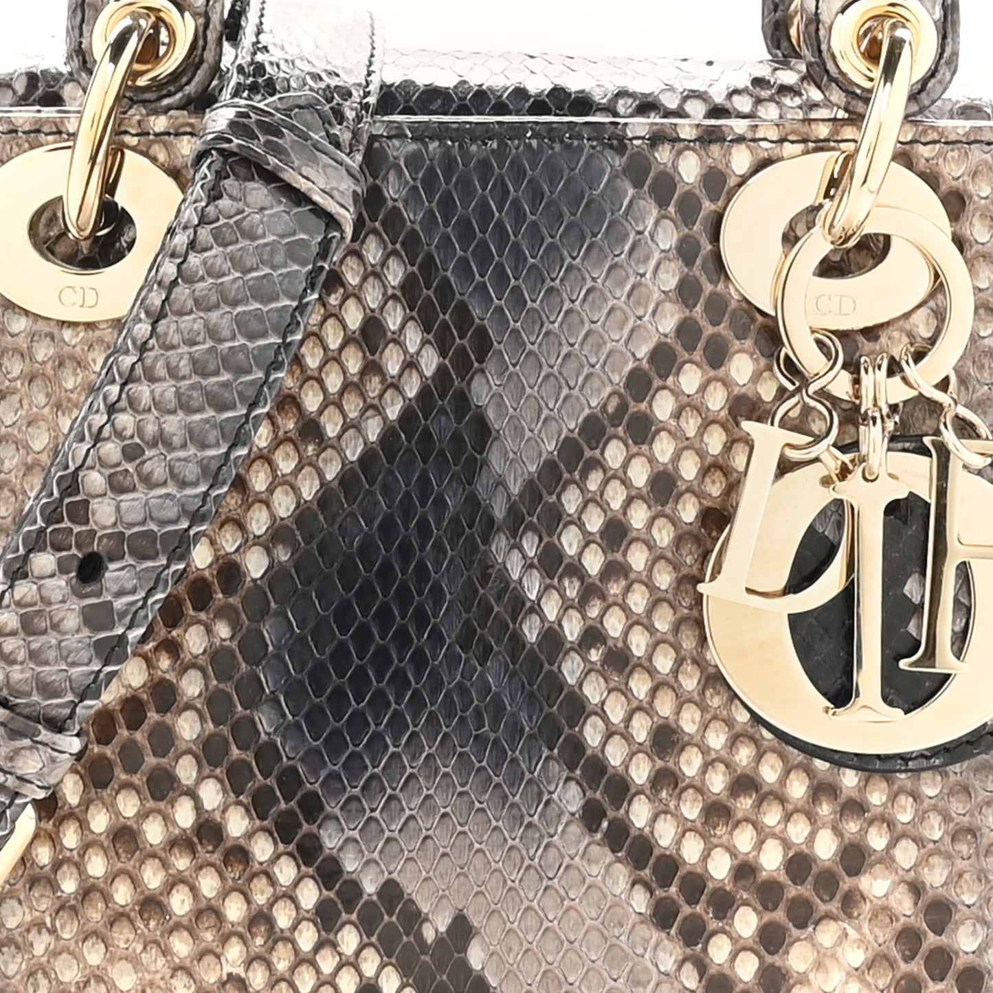 Snakeskin Small Lady Dior Brown Multicolor