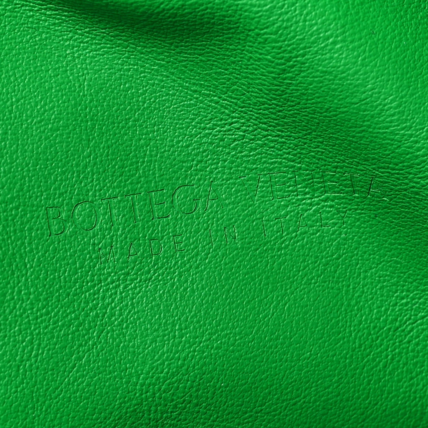 Nappa Intrecciato Teen Jodie Hobo Parakeet
