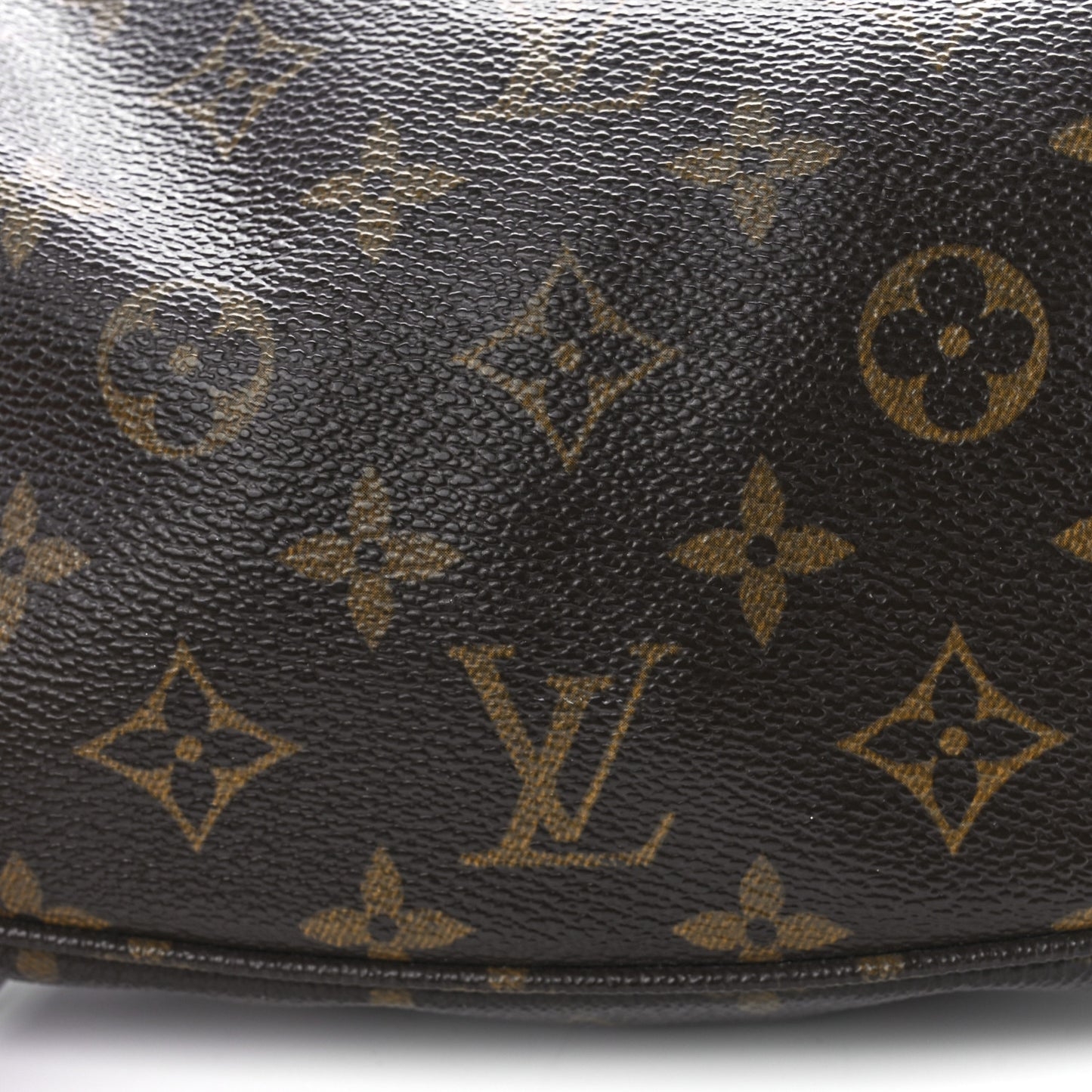 Monogram Pochette Accessories