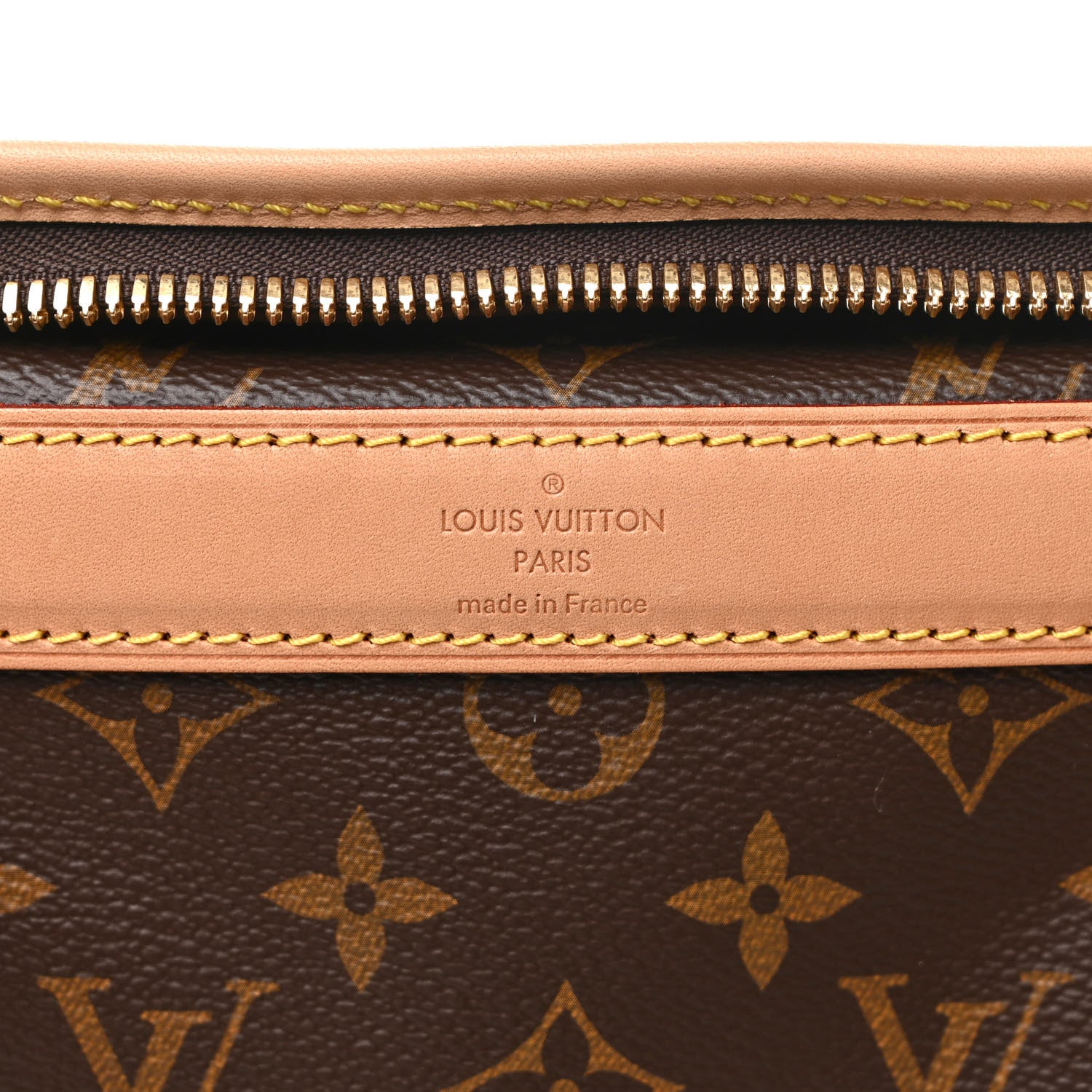 Louis Vuitton Monogram Sac Chien 50 Pet Carrier 5 of 10