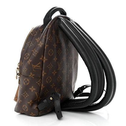 Louis Vuitton Reverse Monogram Palm Springs Backpack PM 3 of 12