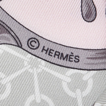 Hermes Silk La Promenade Du Matin Twilly Noir Rose Poudre Celadon 5 of 5