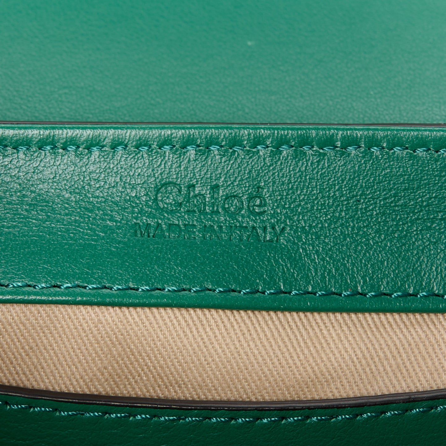 Calfskin Crocodile Embossed Mini C Double Carry Woodsy Green