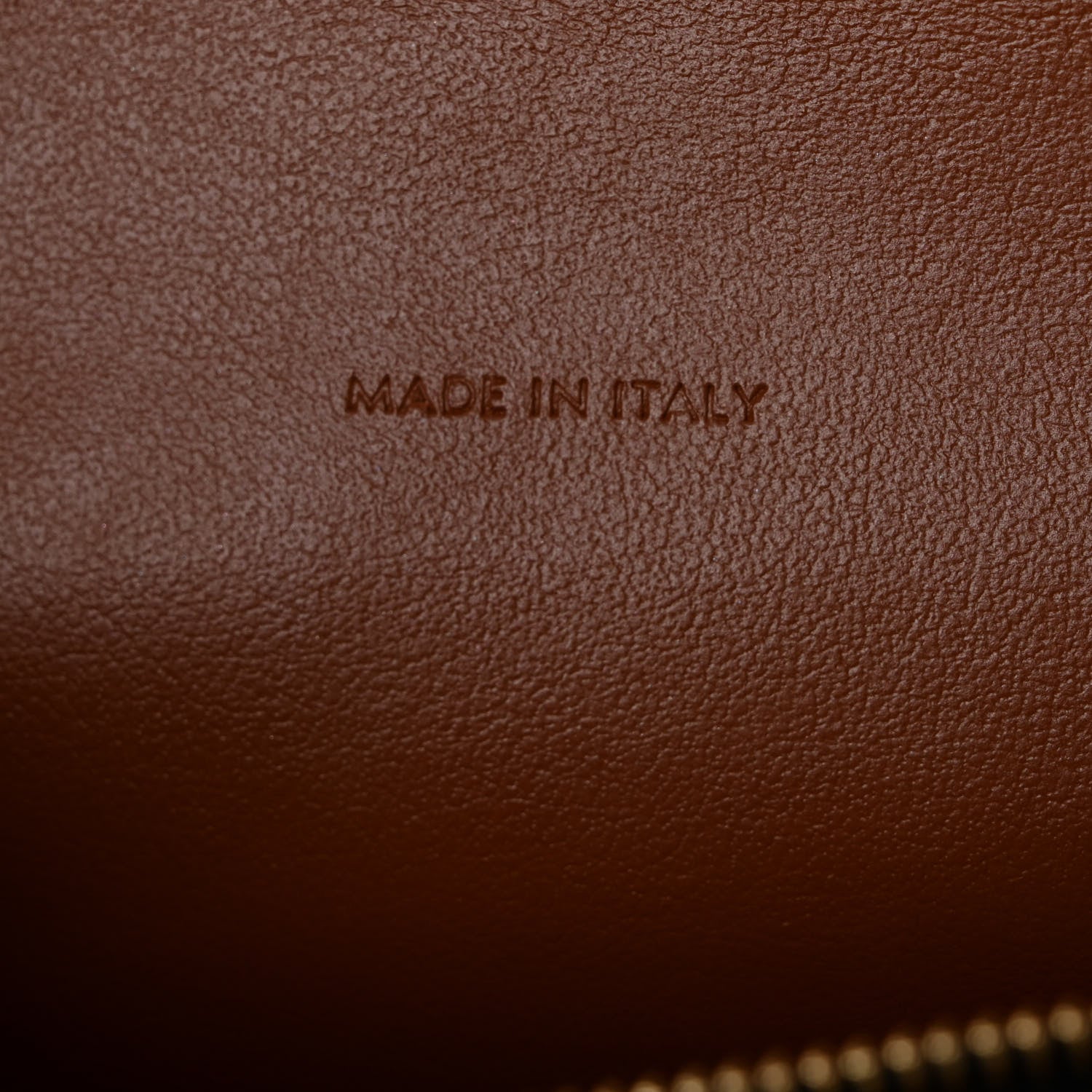 Celine Triomphe Canvas Lambskin Wallet On Strap Tan 8 of 12