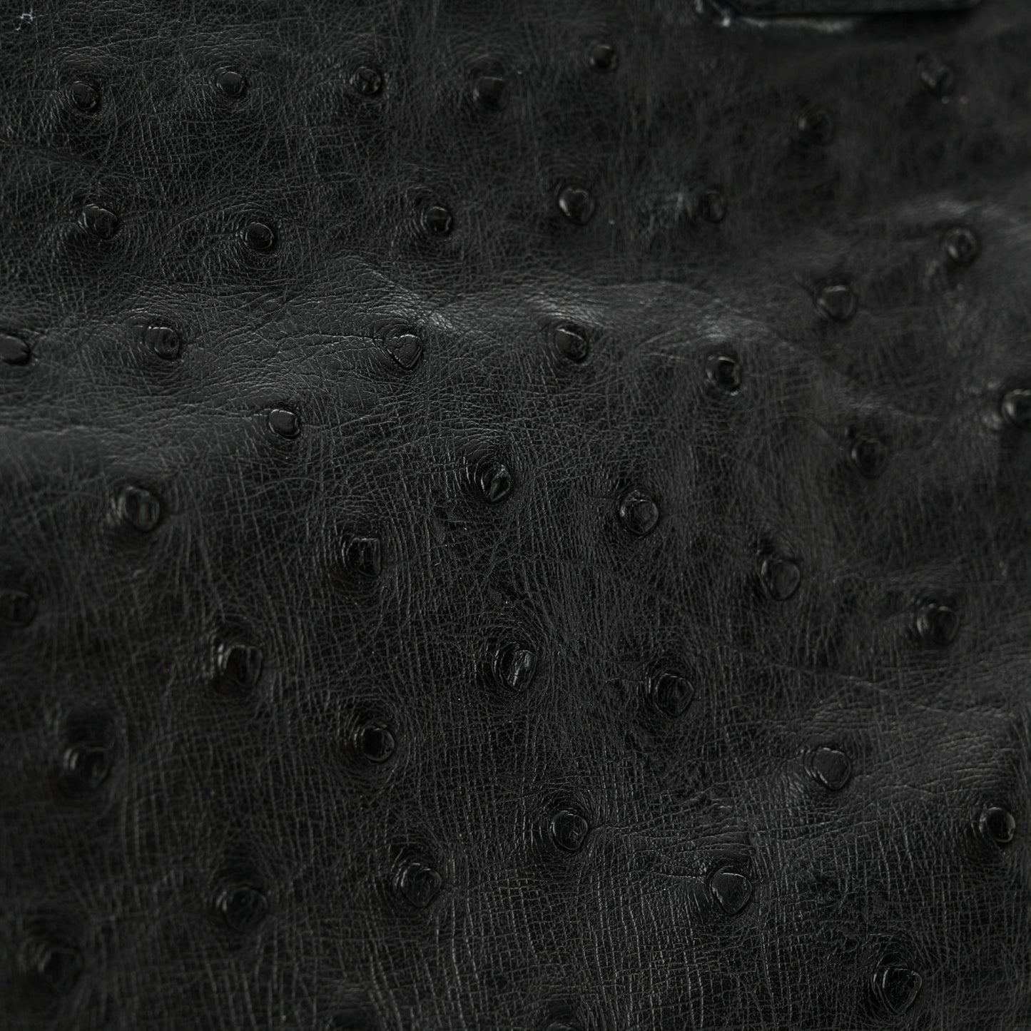 Ostrich Tote Black