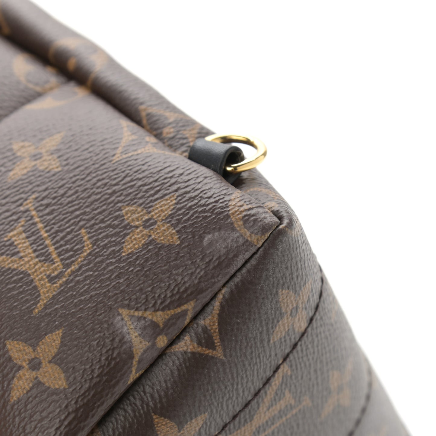 Monogram Palm Springs Backpack Mini
