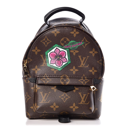 Louis Vuitton Monogram My World Tour Palm Springs Backpack Mini 1 of 7