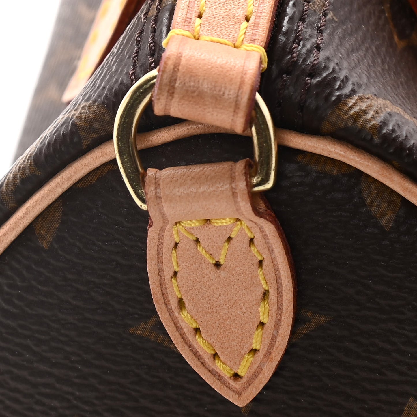 Monogram Nano Speedy