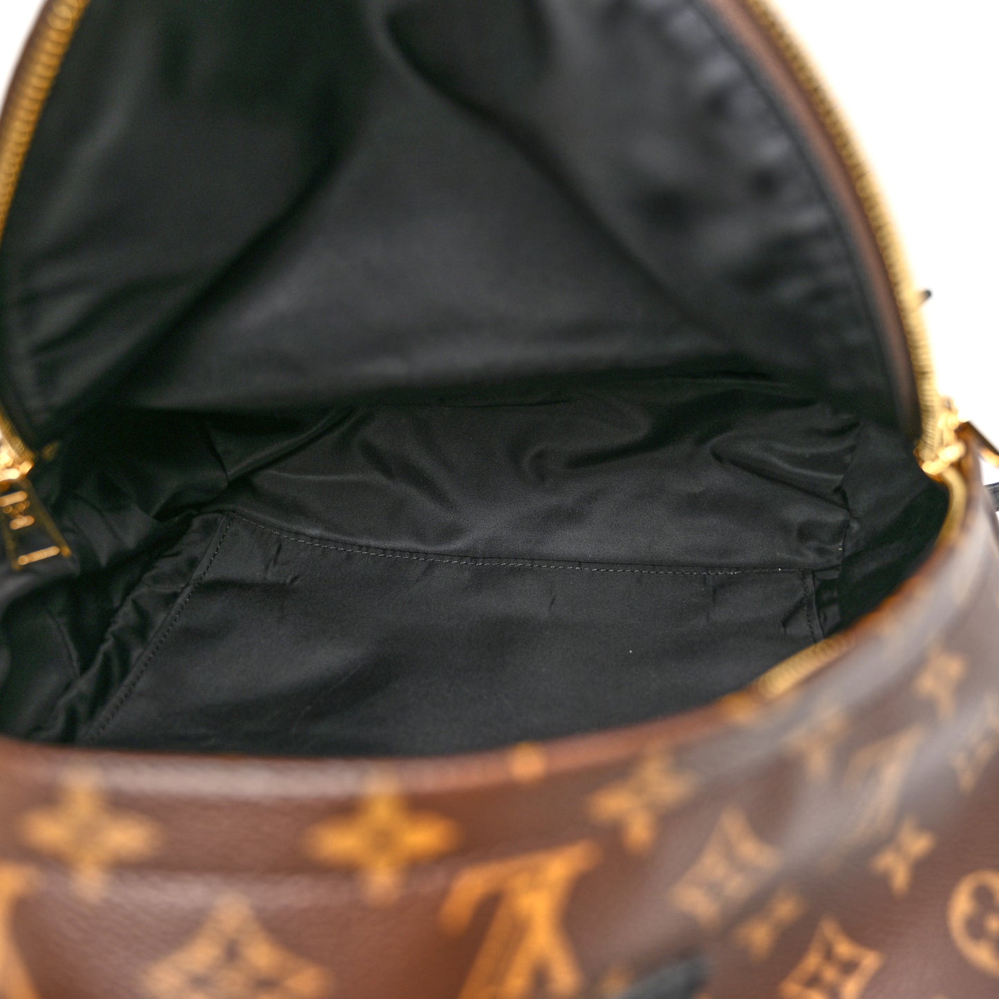 Monogram Palm Springs Backpack MM