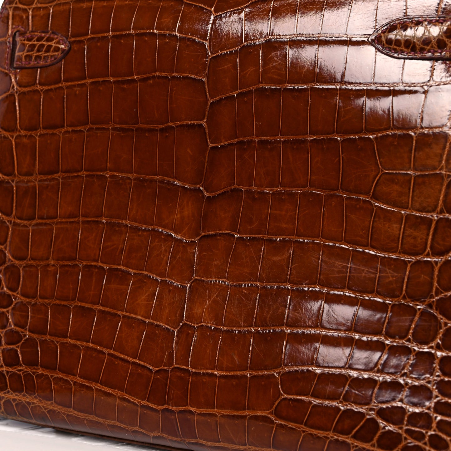 Shiny Niloticus Crocodile Kelly Sellier 28 Miel