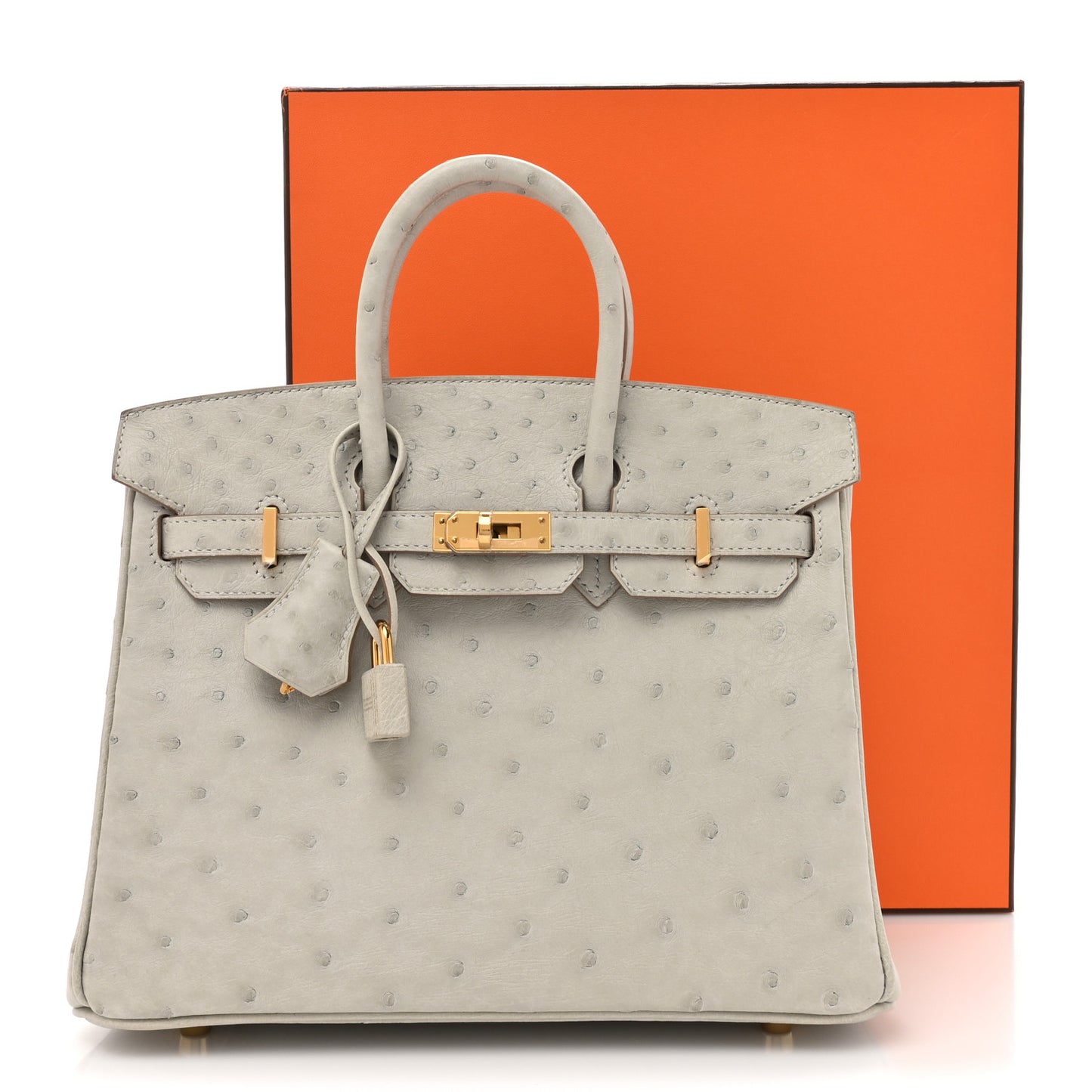 Ostrich Birkin 25 Gris Perle