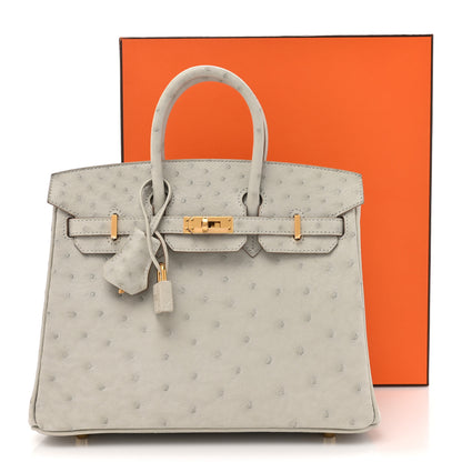 Hermes Ostrich Birkin 25 Gris Perle 11 of 11