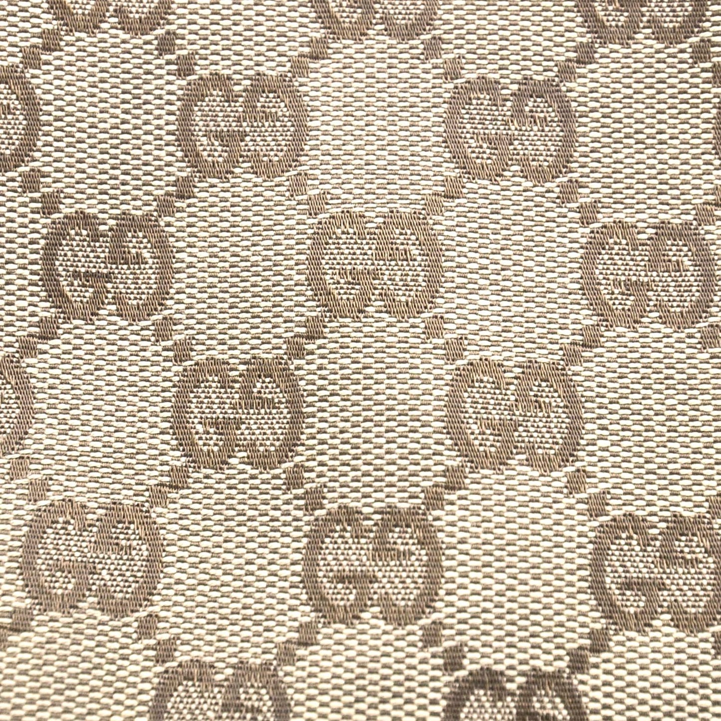 Monogram Reins Hobo Ebony