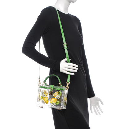 Dolce & Gabbana Plexiglass Hand Painted Lemon Shoulder Bag Green 2 of 8