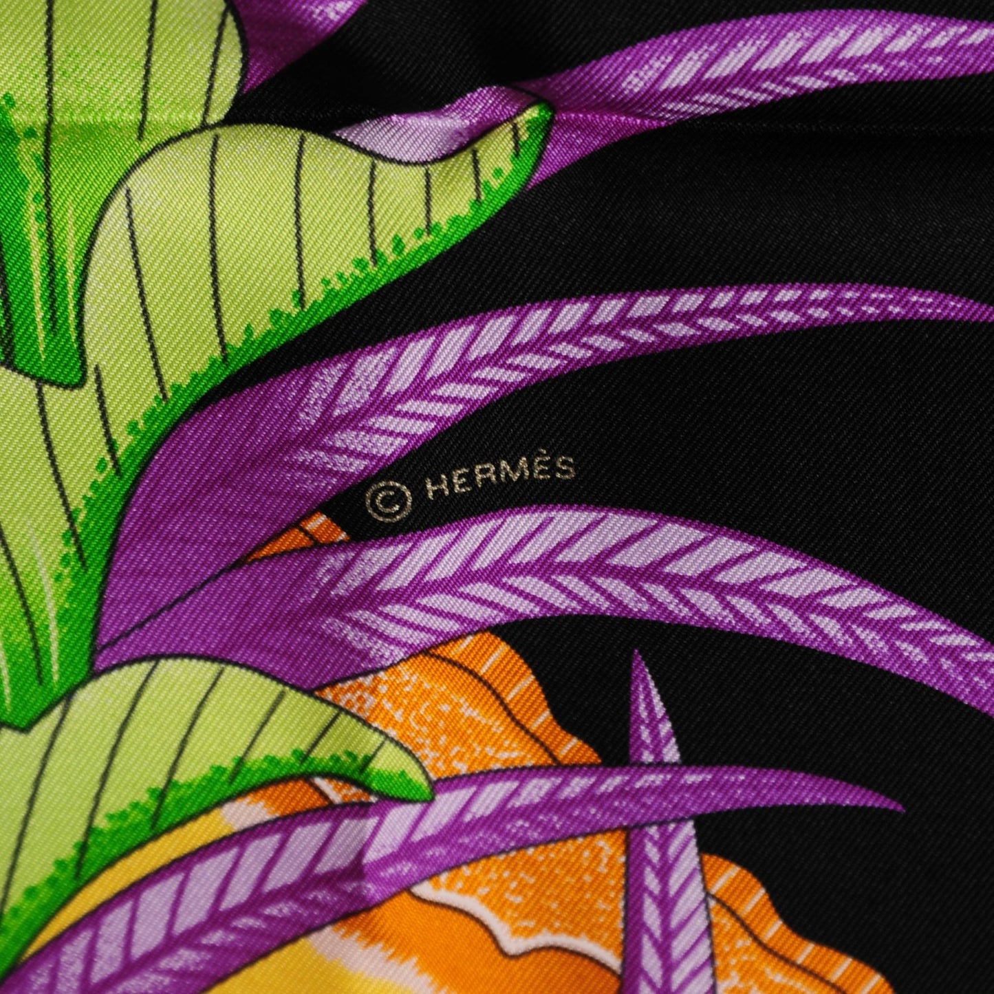 Silk La Marche Du Zambeze Scarf 90 Nero Corail Vert