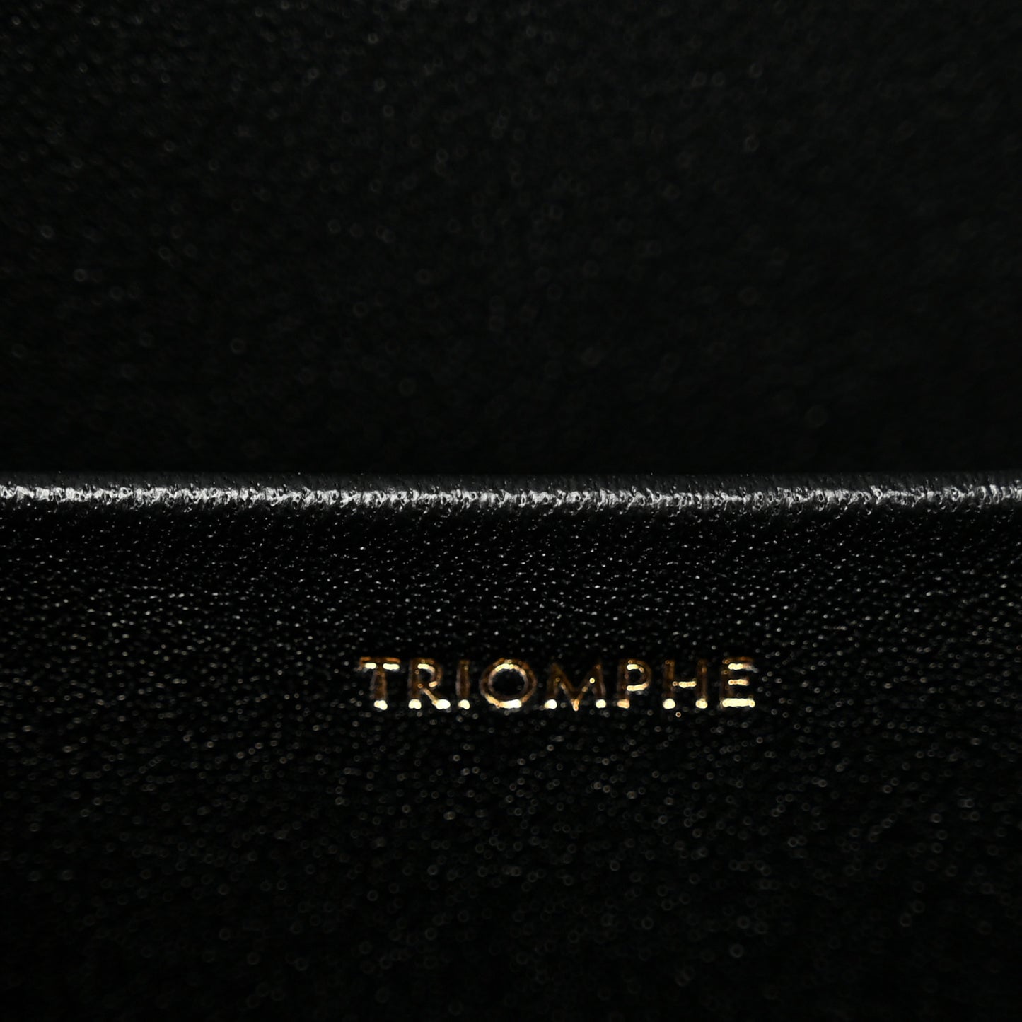 Shiny Calfskin Medium Triomphe Black