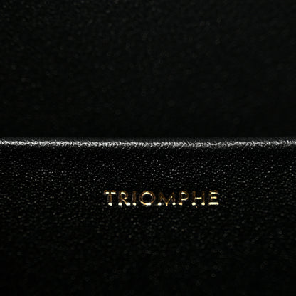 Celine Shiny Calfskin Medium Triomphe Black 7 of 11