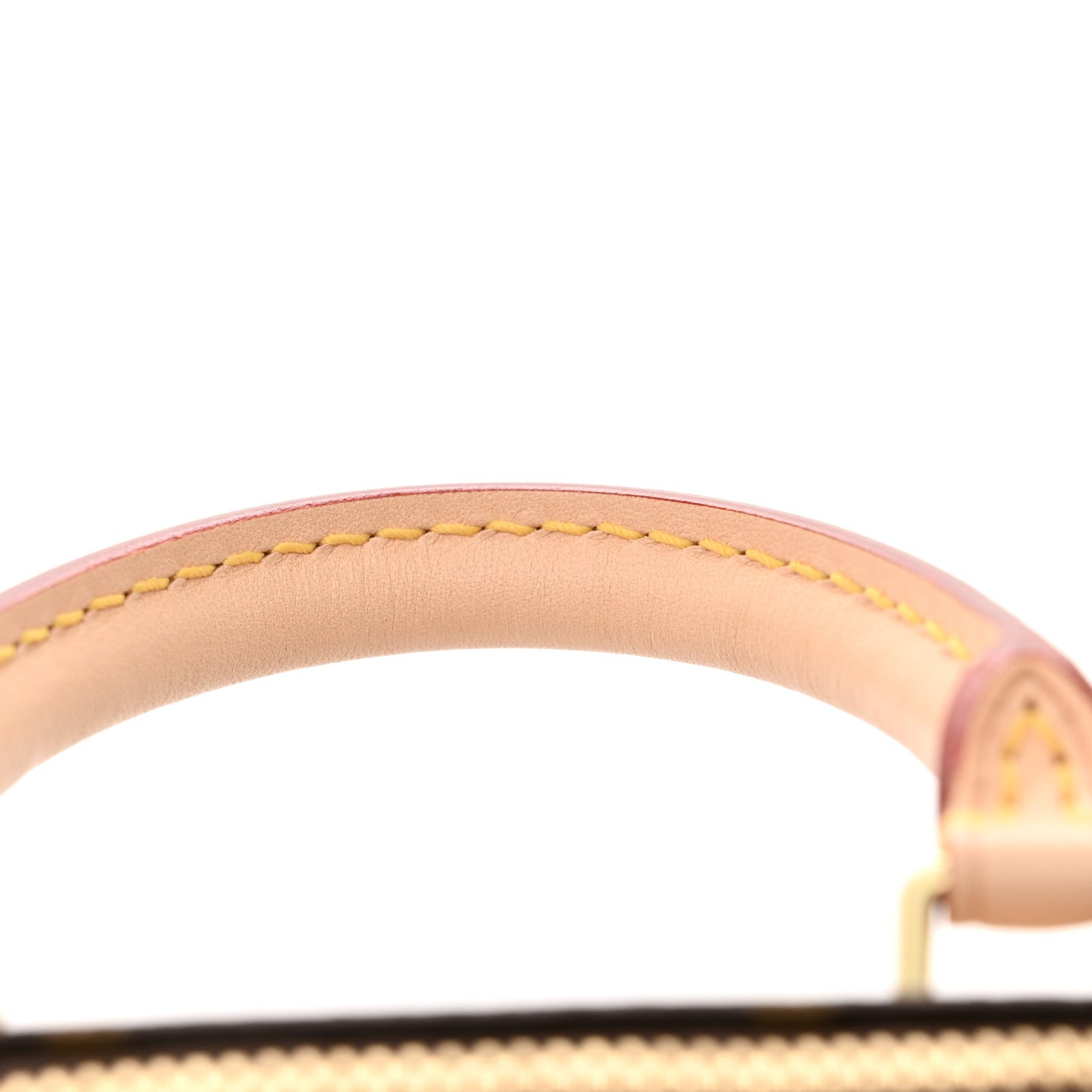 Monogram Nano Speedy