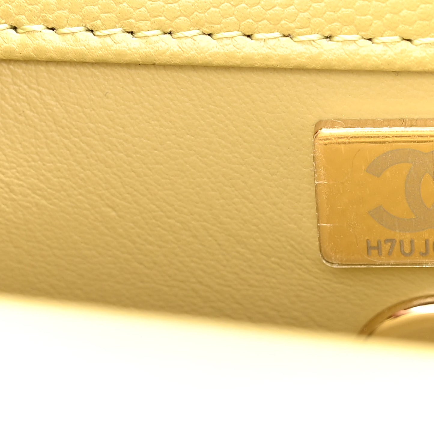 Caviar Quilted Mini Coco Handle Flap Light Green