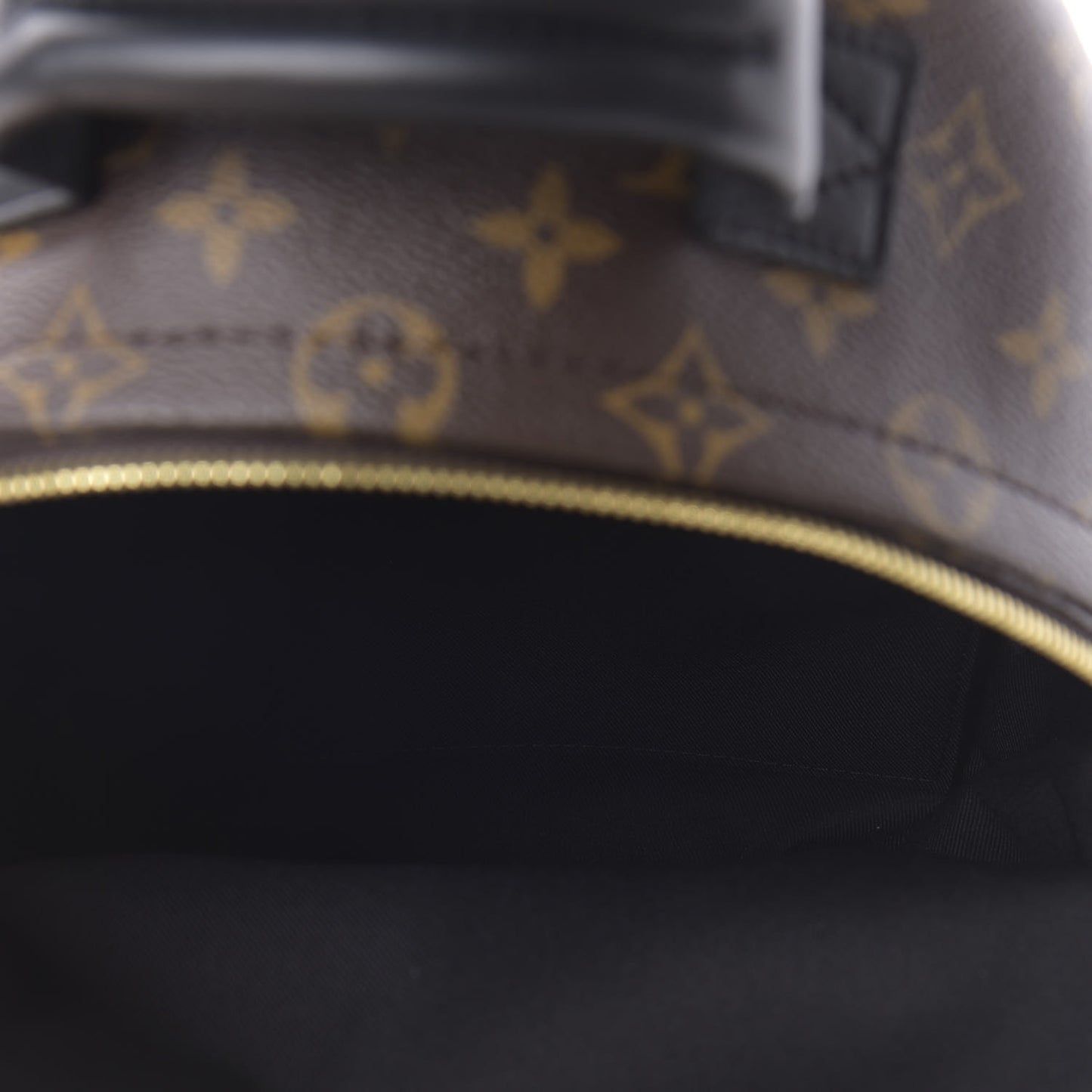 Monogram Palm Springs Backpack PM