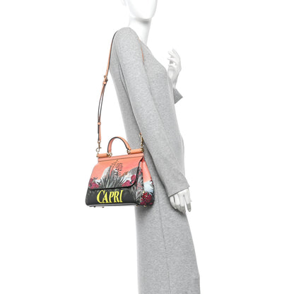 Dolce & Gabbana Dauphine Capri Printed Medium Miss Sicily Satchel Multicolor 2 of 9