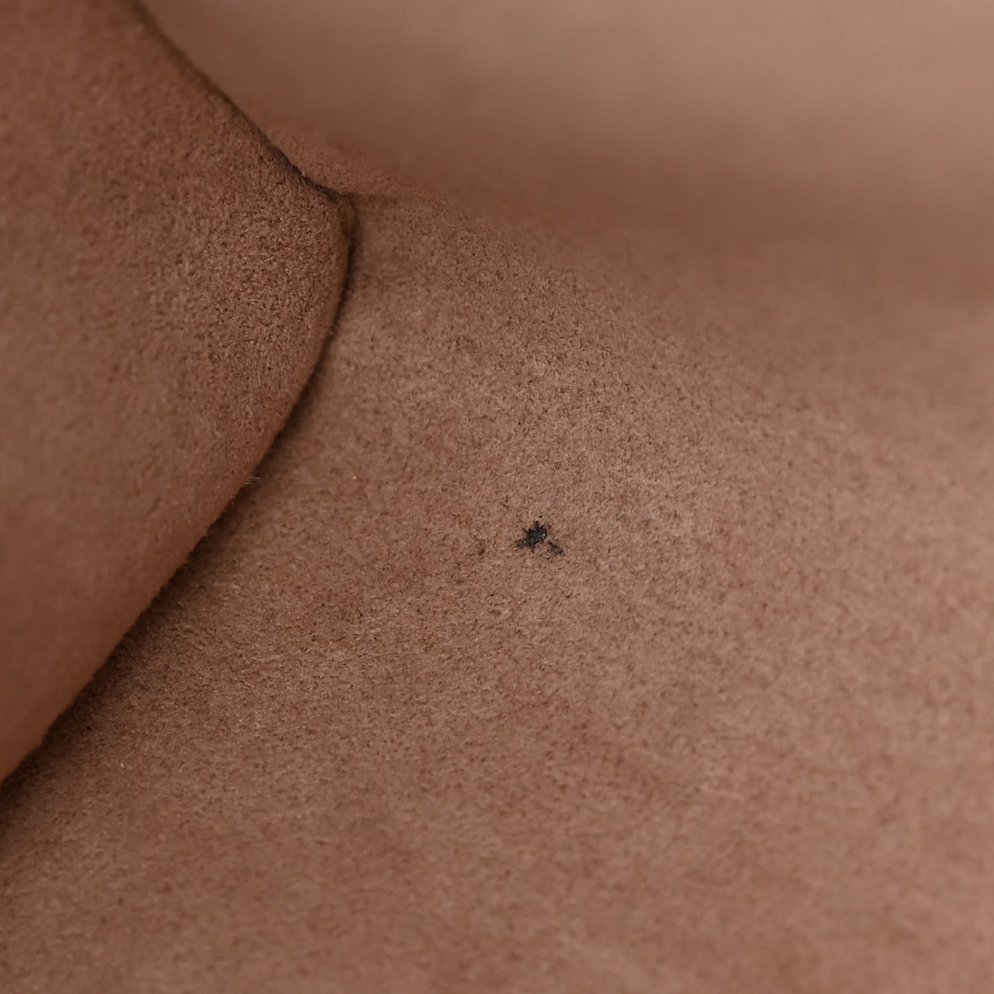 Empreinte Vavin PM Tourterelle