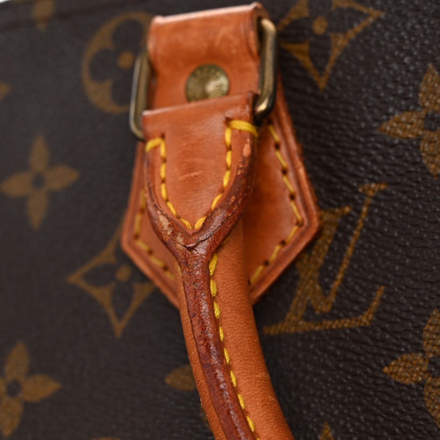 Monogram Speedy 30