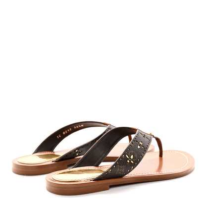 Louis Vuitton Monogram Sunny Flat Thong Sandals 36.5 Brown 4 of 10