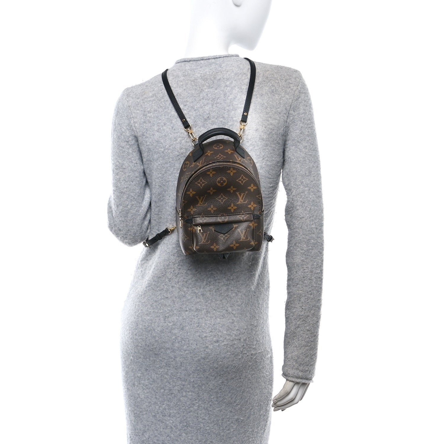 Louis Vuitton Monogram Palm Springs Backpack Mini 2 of 10