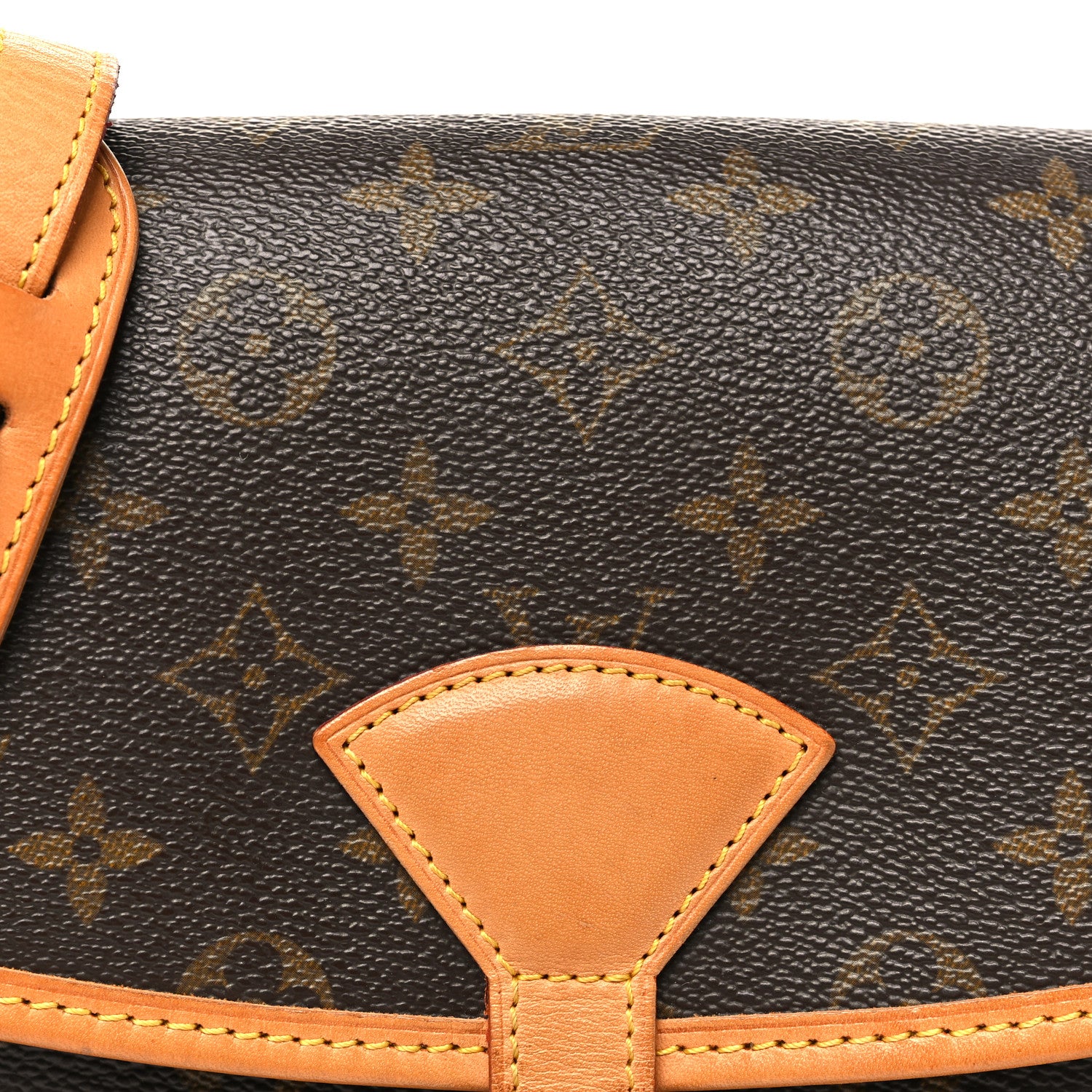 Louis Vuitton Monogram Sologne 6 of 8