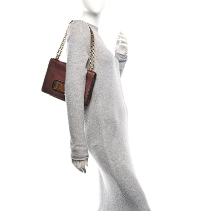 Christian Dior Metallic Calfskin J'Adior Chain Flap Bag Noisette 2 of 13