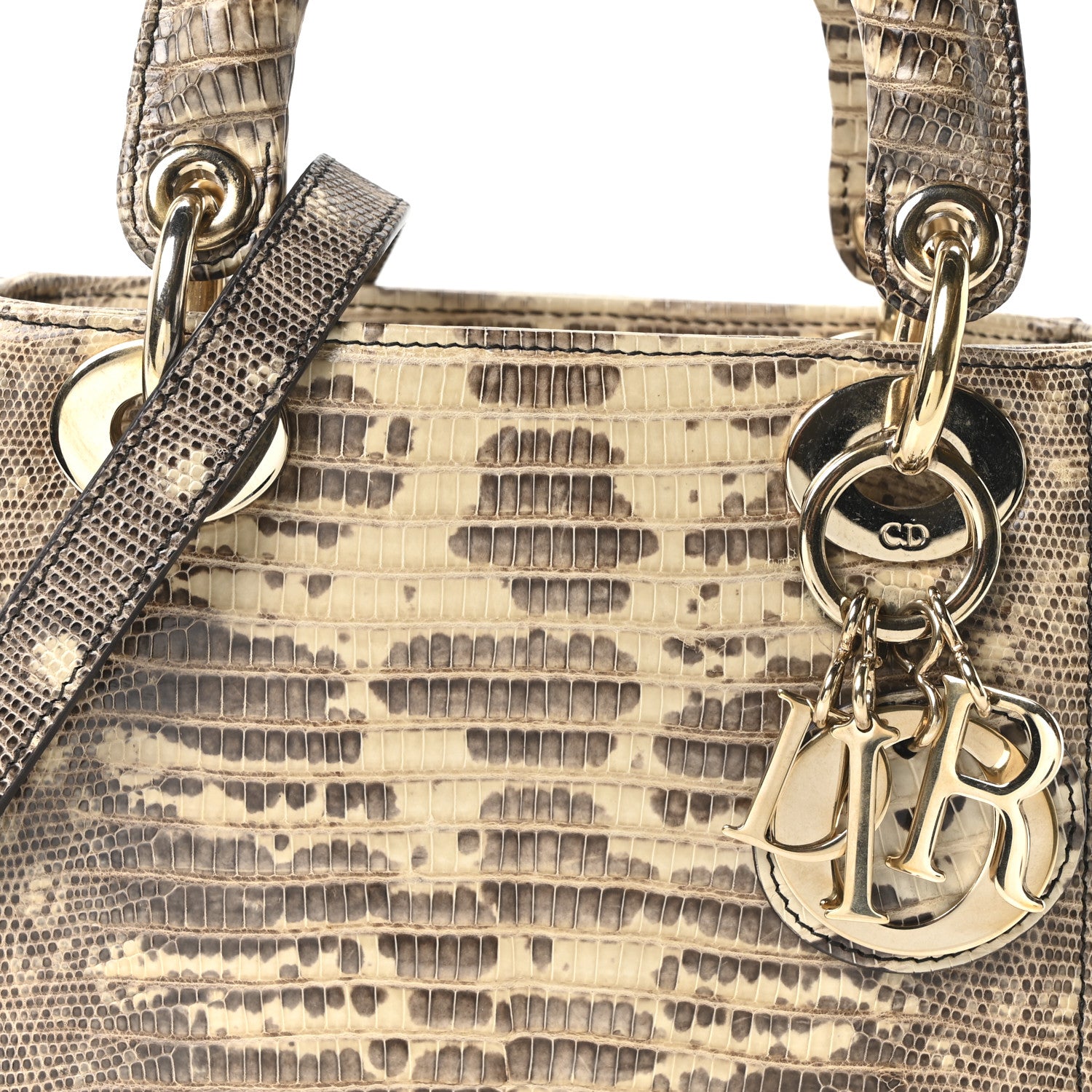 Christian Dior Lizard Ombre Mini Lady Dior 1845658 – FASHIONPHILE