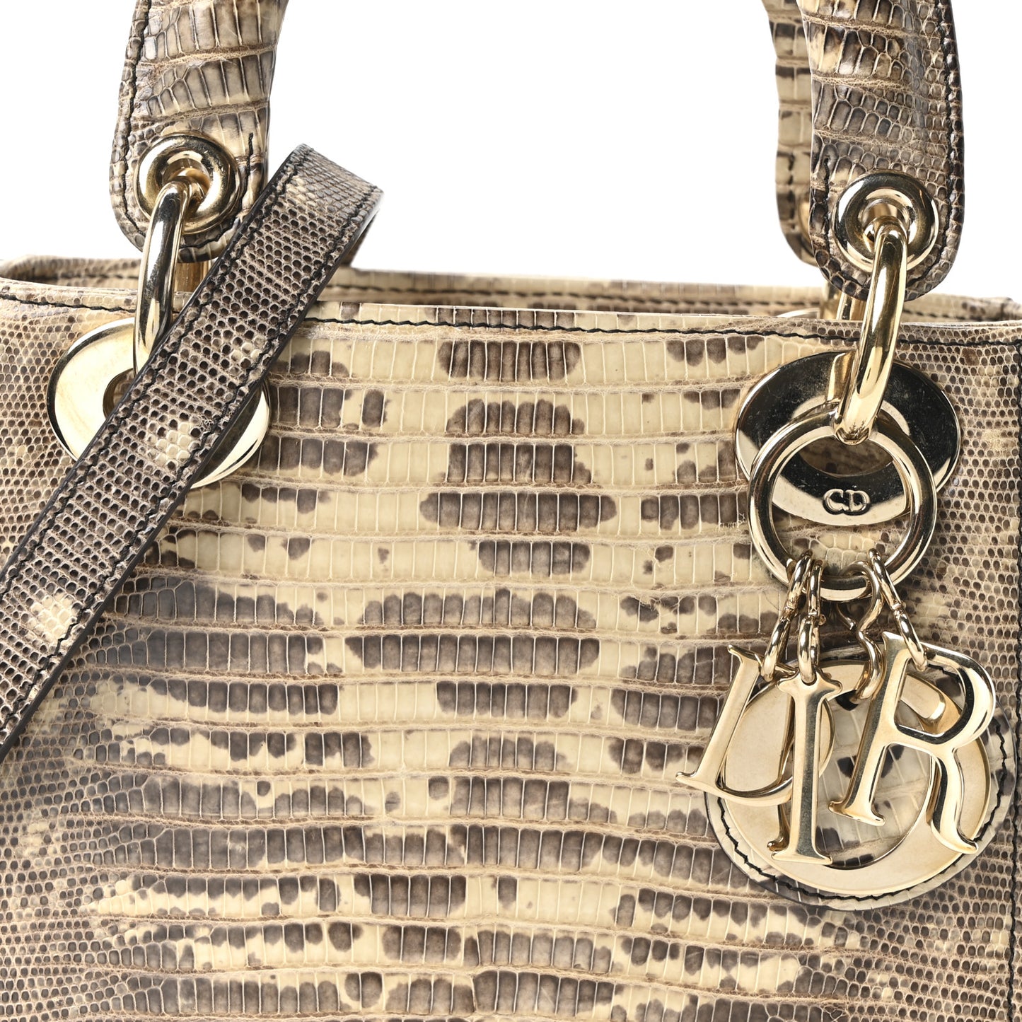 Lizard Ombre Mini Lady Dior
