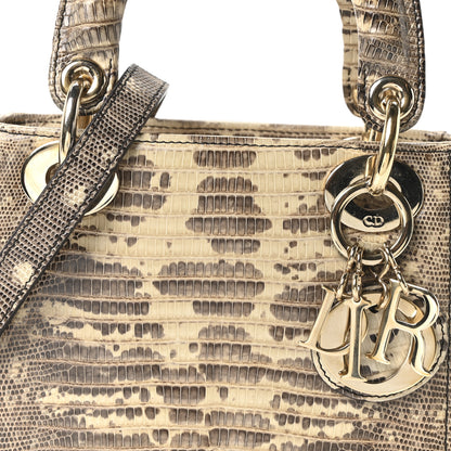 Christian Dior Lizard Ombre Mini Lady Dior 8 of 10