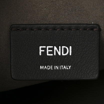 Fendi Vitello Catalan Mirror Canvas Fabric Jacquard FF 1974 Mini Mon Tresor Bucket Bag Ebano Argento 6 of 10