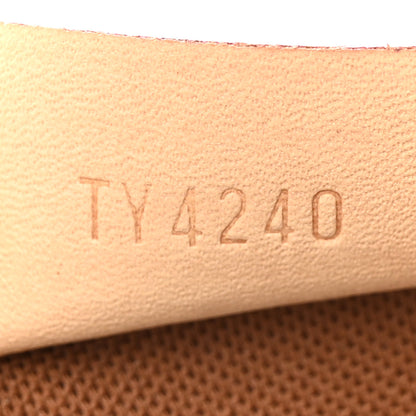 Louis Vuitton Monogram Nano Speedy 7 of 10