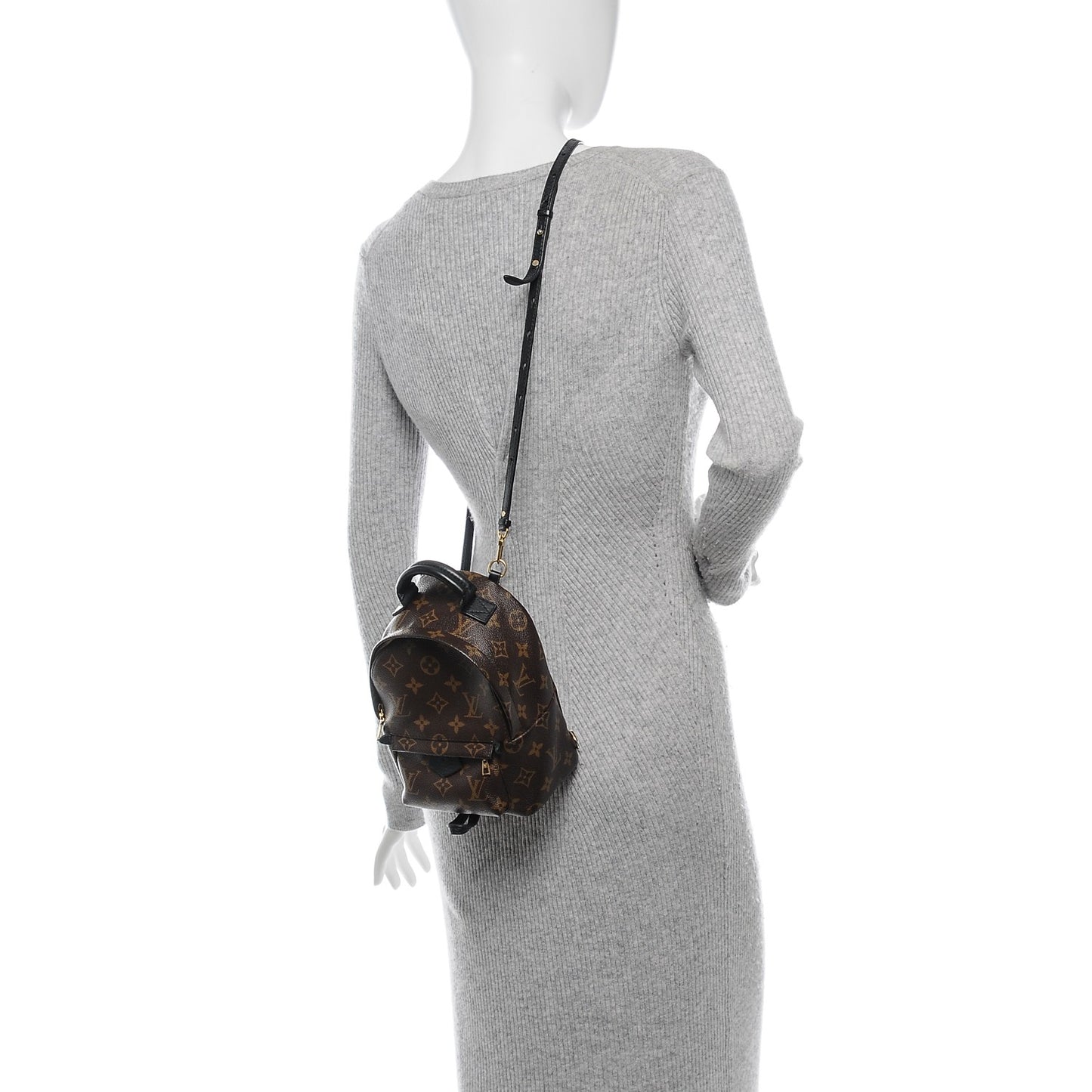 Monogram Palm Springs Backpack Mini