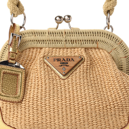 Prada Paglia Cinghiale Frame Satchel Naturale Oro 11 of 12