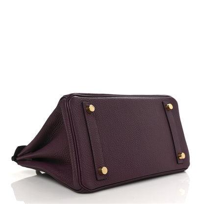 Hermes Togo Birkin 25 Cassis 4 of 8