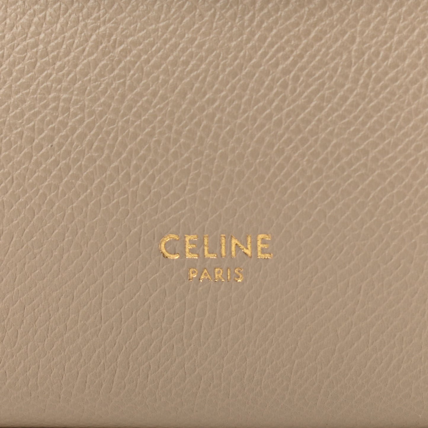 Grained Calfskin Pico Belt Bag Light Taupe