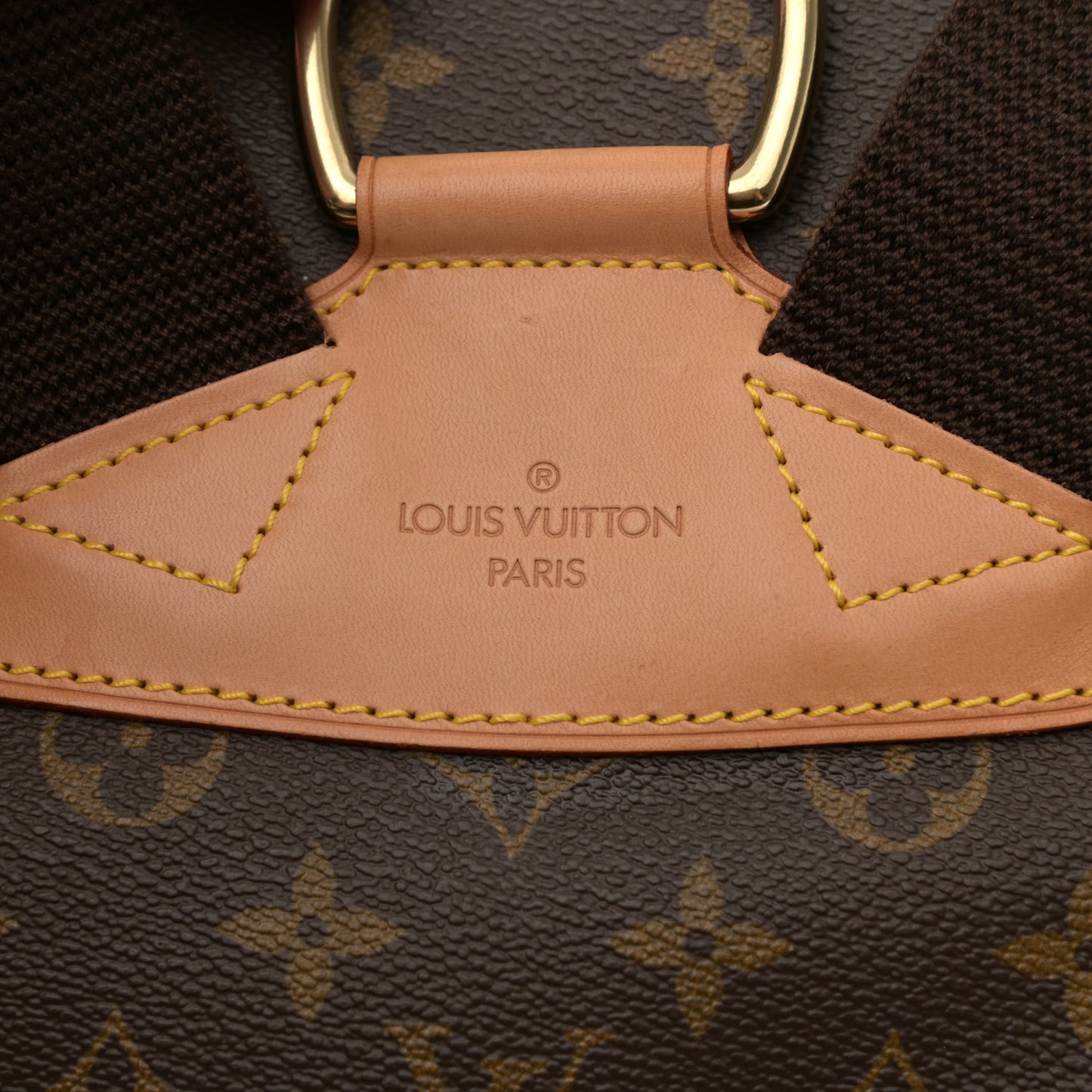 Monogram Montsouris GM Backpack