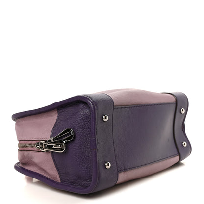 Loewe Goatskin Amazona 28 Purple 4 of 9
