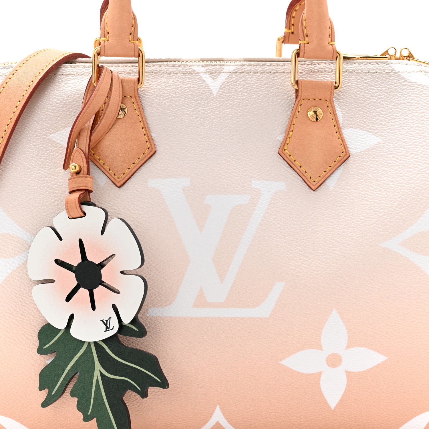 Louis Vuitton Monogram Giant By The Pool Speedy Bandouliere 25 Brume 8 of 10