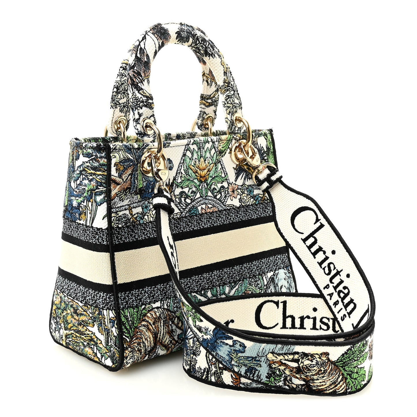 Canvas Embroidered Etoile de Voyage Medium Lady D-Lite Multicolor