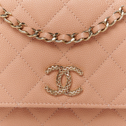Chanel Caviar Quilted Perforated Metal CC Wallet On Chain WOC Beige 9 of 11