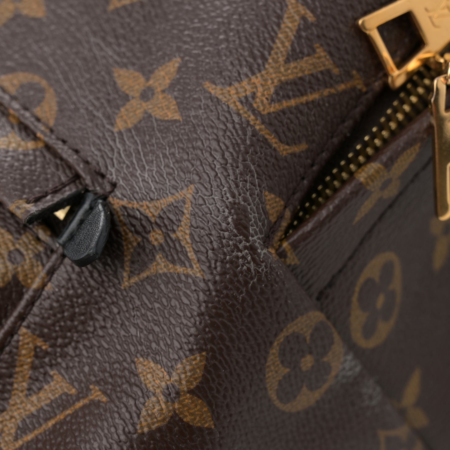 Monogram Palm Springs Backpack MM
