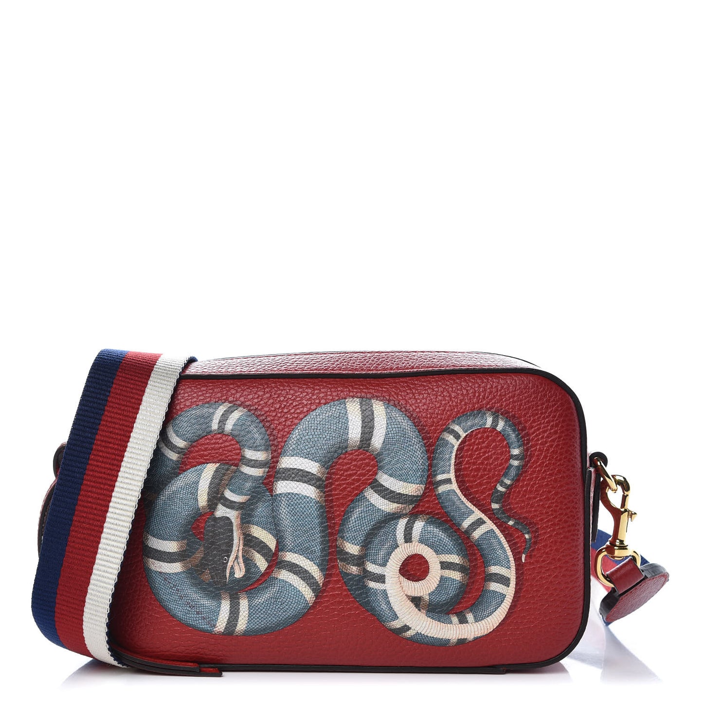 Grained Calfskin Sylvie Web Kingsnake Small Camera Bag Red Multicolor