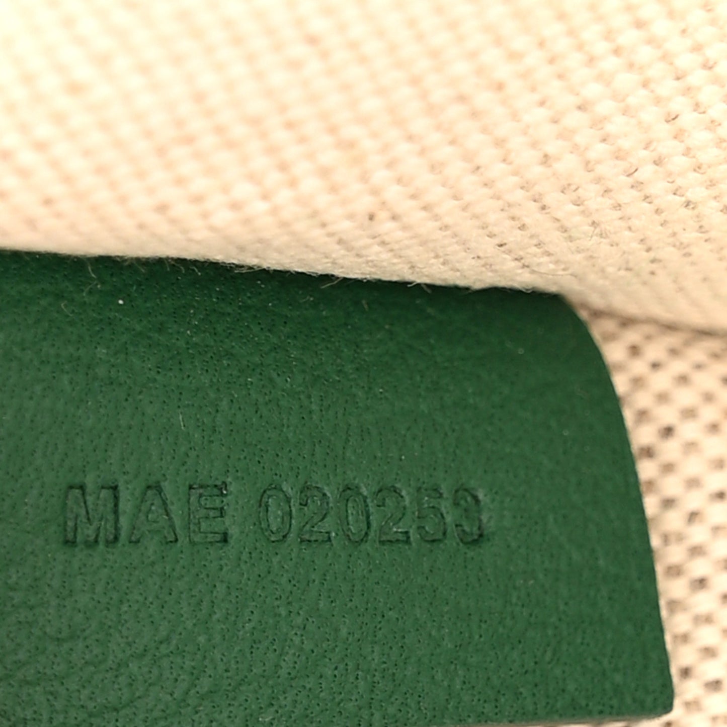 Goyardine Villette MM Tote Green