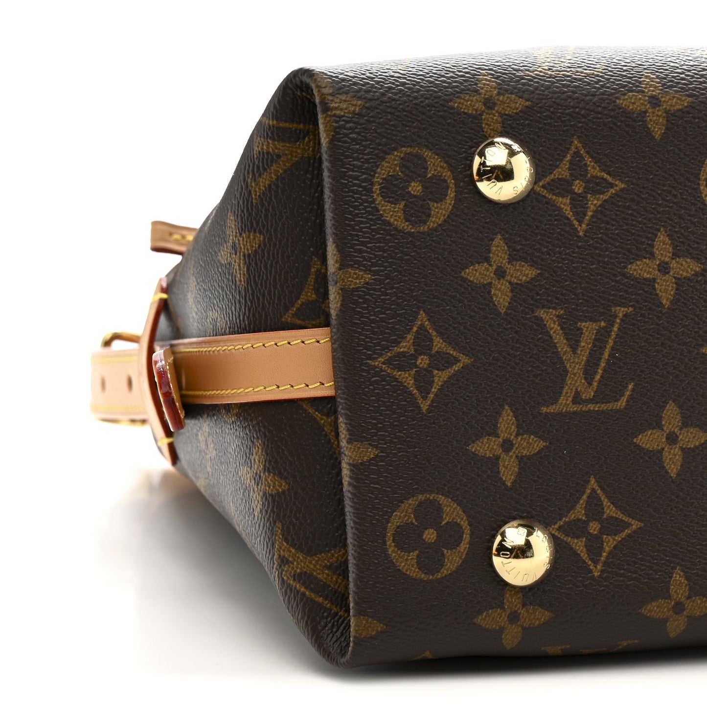 Monogram CarryAll PM