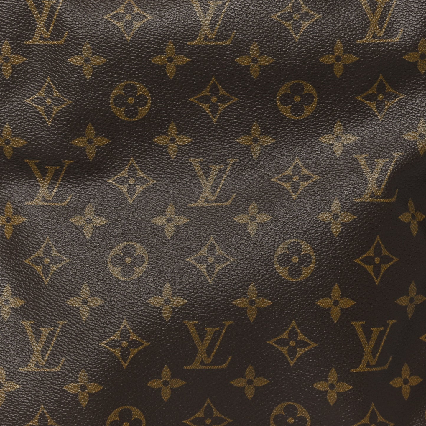 Monogram Excursion Shoe Bag